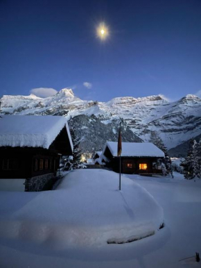Appartement cosy dans chalet typique Région Diablerets Glacier 3000